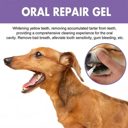 3 Set Dog Oral Repair Gel