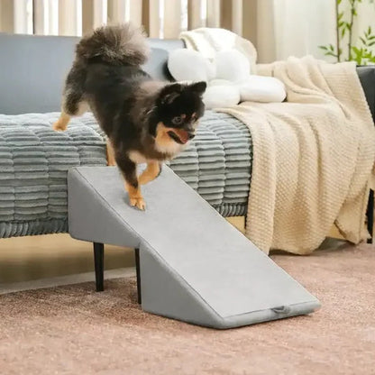 2-in-1 Convertible Dog Ramp and Step Stool