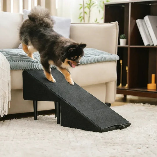 2-in-1 Convertible Dog Ramp and Step Stool